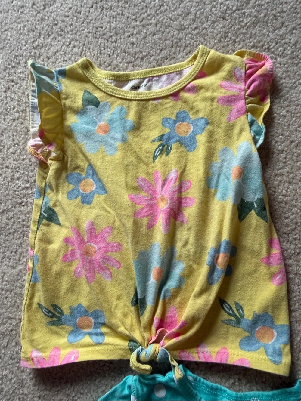 Cat & Jack/Carter’s girls 2T bundle